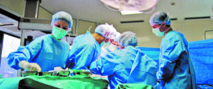 Evolution remarquable des opérations de transplantation d'organes et de  tissus humains au Maroc