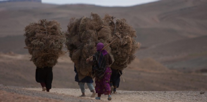 Le rapport alarmant d’un Maroc rural parent pauvre des politiques publiques