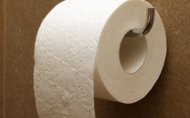 Insolite : Voleurs de papier-toilette