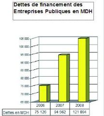 Rapport sur le secteur des établissements et entreprises publics : 111 milliards d'investissements en 2010