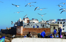 Célébration de la 3ème édition de  la Semaine des migrants à Essaouira