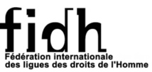 La  FIDH dénonce la planification de massacres par des forces de sécurité congolaises