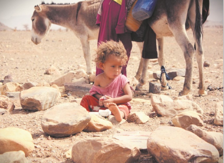 Daoudi aurait un faible pour le modèle indien