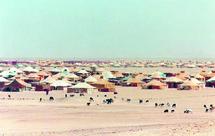 Un rapport officieux fait état de désertions successives dans les rangs des séparatistes : Défections en série parmi les militaires du Polisario