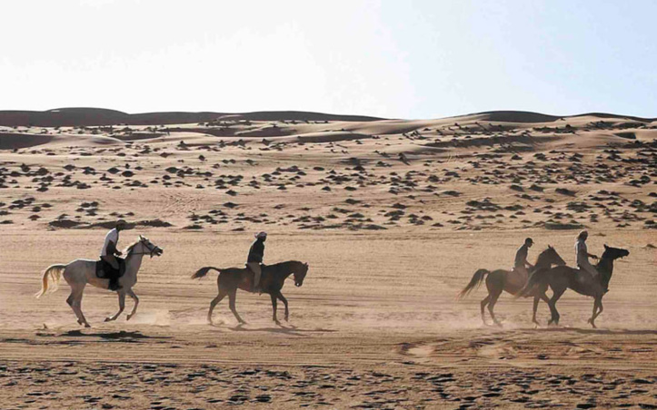 La première édition des “Gallops of Morocco” dans la région de Drâa-Tafilalet