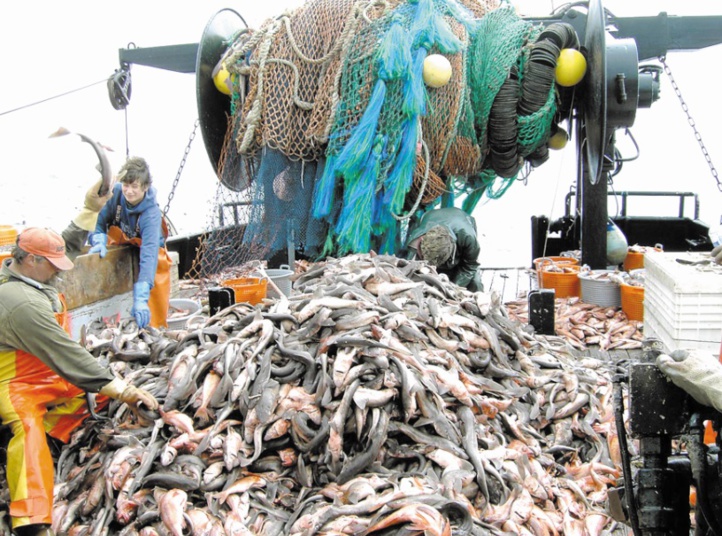 L’accord de pêche Maroc-UE quitte la nasse de la CJUE