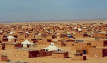 Les violations des droits des enfants dans les camps de Tindouf dénoncées à Salvador de Bahia