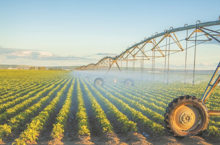 Le Réseau marocain interprofessionnel de l’irrigation voit le jour