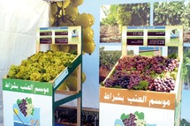 Fête annuelle du raisin de Charrat: L’Association Rouad à pied d’œuvre