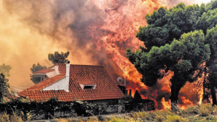 Des incendies font au moins 50 morts en Grèce