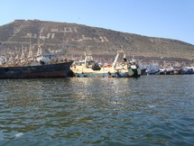 Une réunion se termine en queue de poisson à Agadir : Ces lobbies que la restructuration du secteur de la pêche dérange