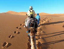 Avec une baisse de 21% de la demande : Les touristes français boudent le Maroc