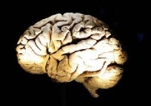 Le centre de la parole dans le cerveau n’est pas là où on le pensait