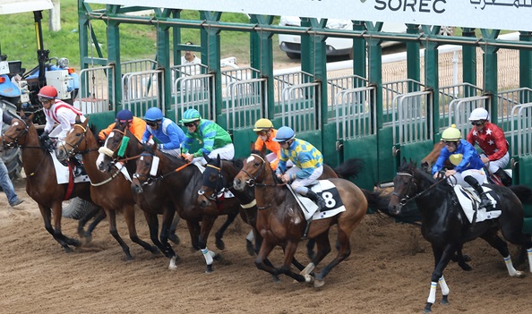 Le 5ème Meeting International du Maroc des courses de chevaux à Casablanca