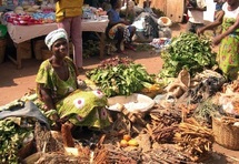 L’Afrique aime protéger sa pauvreté