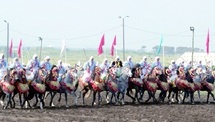 Semaine du cheval : Trophée Hassan II des arts équestres traditionnels