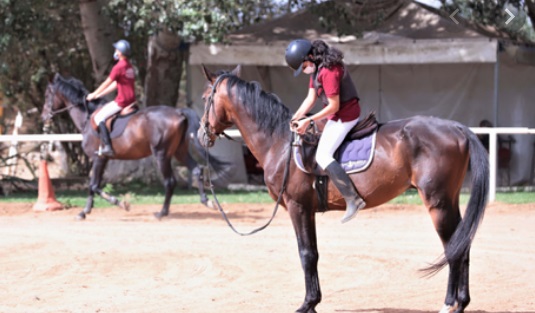 Sports équestres: Les chevaux reprennent du collier après trois mois de confinement