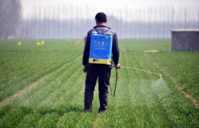 Des pesticides interdits exportés vers le Maroc