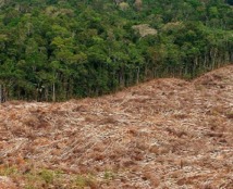 La déforestation au Brésil atteint son plus bas niveau historique