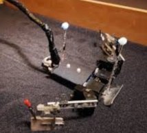 FlipperBot, un robot pour la sauvegarde des espèces menacées