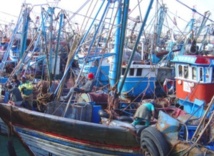 Des moteurs de barques distribués aux pêcheurs à Al Mrissa