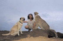 La Namibie redécouvre le chien de berger pour protéger les guépards