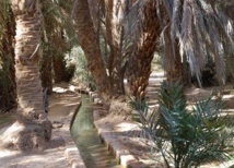 Festival de l’oasis du Guir à Boudnib