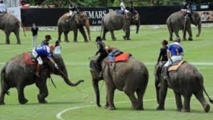 Insolite : Jouer au polo à dos d’éléphants