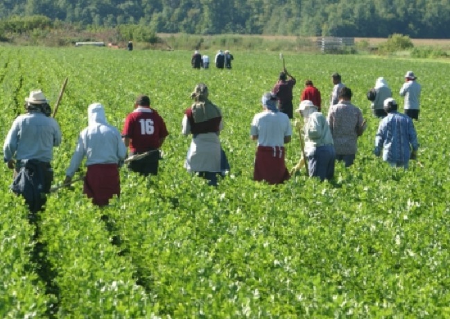 Le Maroc tancé par le Comité onusien pour les travailleurs migrants