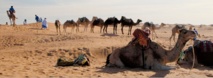 Les nomades de M’Hamid El Ghizlane en festival