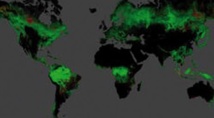 Une carte dévoile l’étendue de la déforestation dans le monde