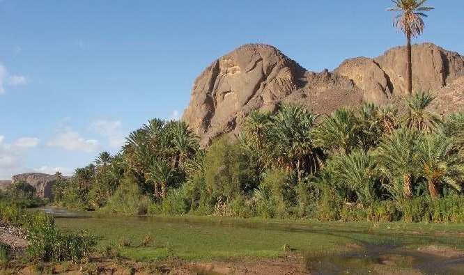 Ouverture à Zagora du deuxième Forum des oasis et du développement local