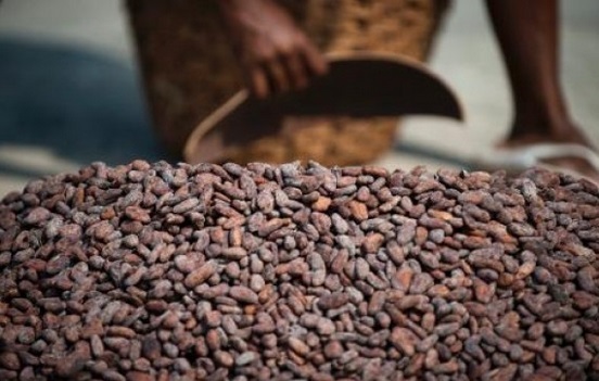 Chocolatier, oui, mais de la fève à la tablette