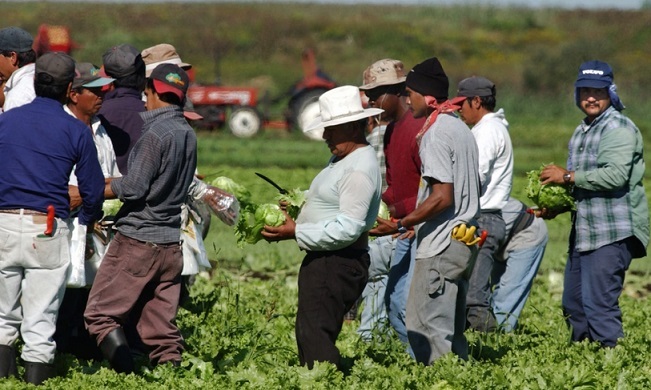 100.000 migrants viennent travailler chaque année en Europe