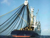 La Chambre des représentants adopte le protocole de pêche Maroc-UE