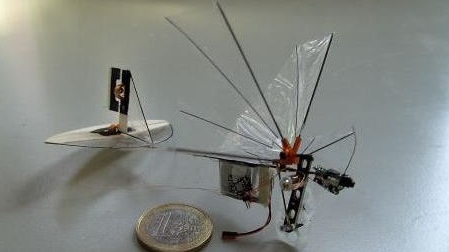 Des scientifiques néerlandais s'envolent vers le futur avec un "insecte-drone"