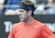 Del Potro, le géant aux poignets de cristal