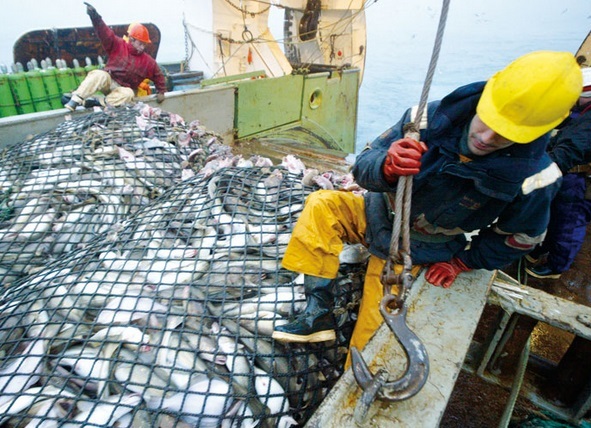 Bras de fer entre les professionnels de la pêche et Aziz Akhennouch