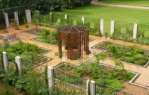 Le Jardin d’essais  botaniques de Rabat  souffle sa première bougie