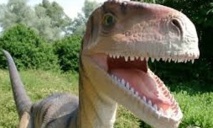 Les dinosaures, des animaux à sang tiède