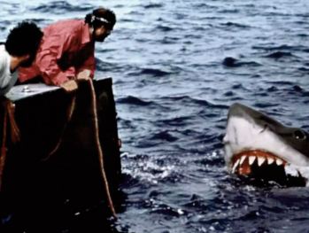 Spielberg raconte ses regrets pour les requins après "Les dents de la mer "