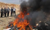 Destruction de plus de 12 tonnes de chira à Casablanca