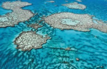 Le plan australien ne sauvera pas la Grande barrière de corail