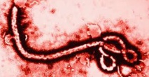 L'infirmière britannique n’avait aucun symptôme d’Ebola