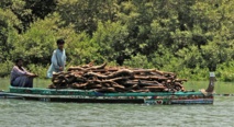 Le déclin de la mangrove, barrière naturelle contre les cyclones au Pakistan