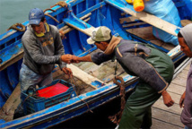 Les professionnels de la pêche côtière mécontents