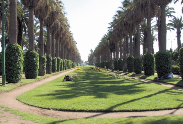 Casablanca manque toujours d’espaces verts