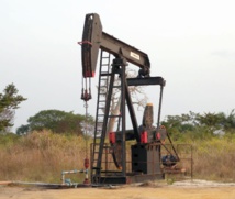​Le pétrole angolais est-il une panacée ?