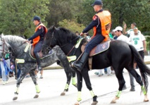 ​Mobilisation de 110.000 policiers pour les matches du championnat de football