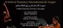 ​Nouvelle édition du Festival du Flamenco international de Tanger